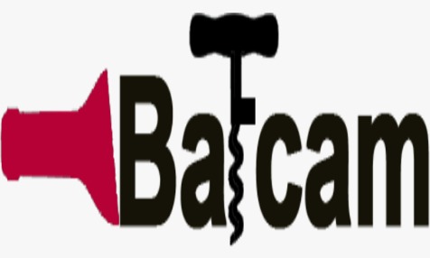 BAFCAM SARL